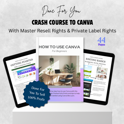 How to Use Canva for Beginners | Create Designs Like a Pro
