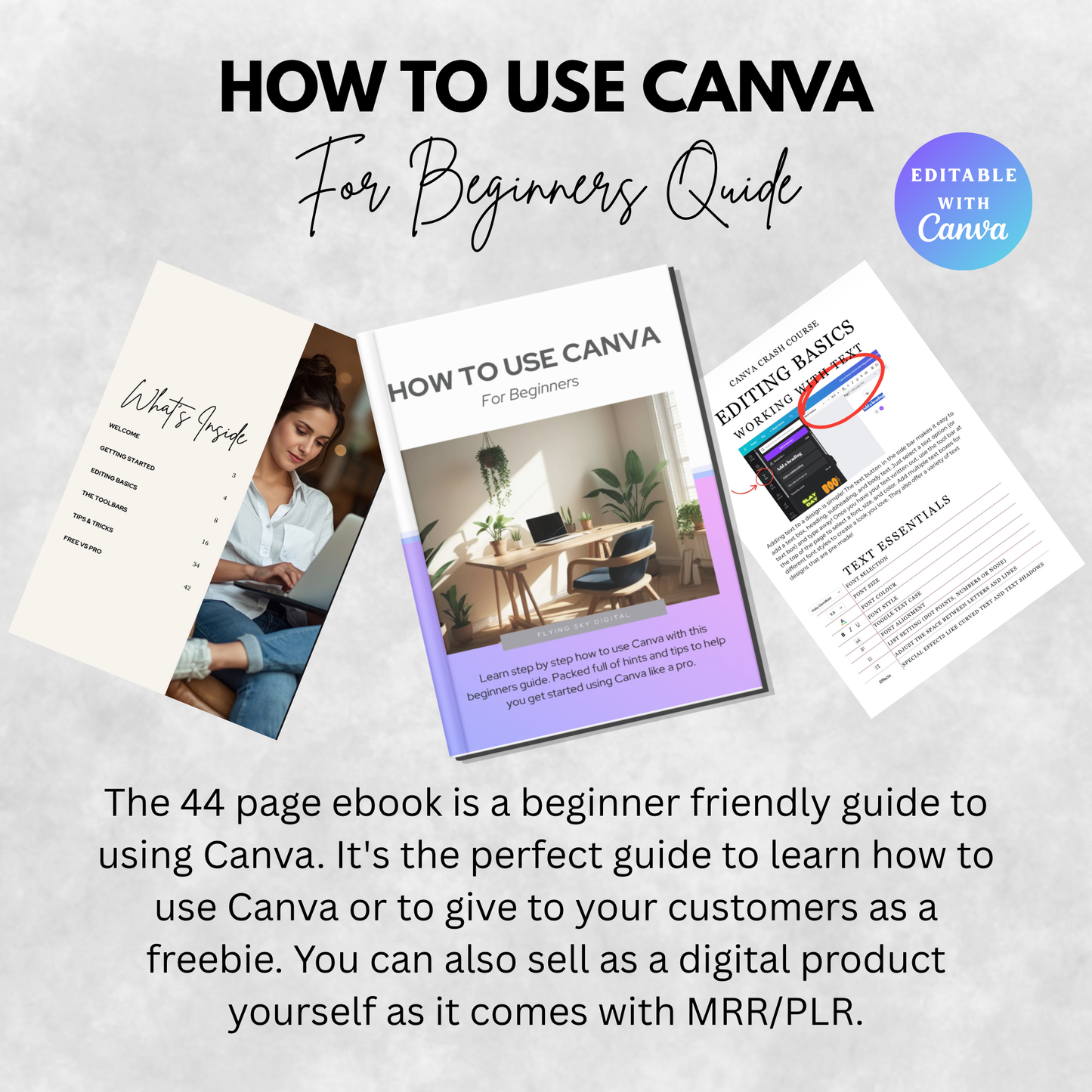How to Use Canva for Beginners | Create Designs Like a Pro