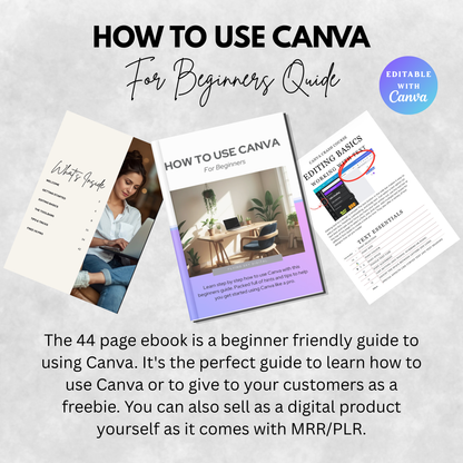 How to Use Canva for Beginners | Create Designs Like a Pro