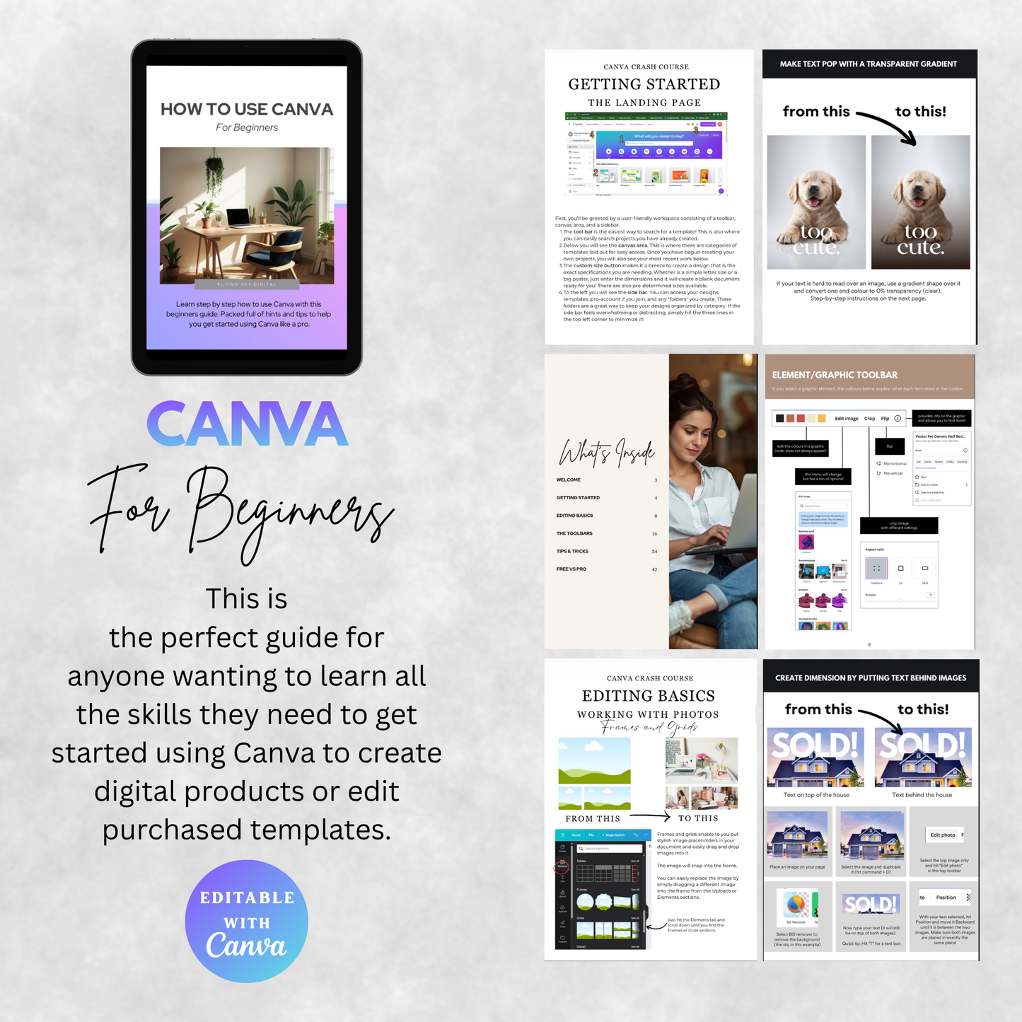 How to Use Canva for Beginners | Create Designs Like a Pro