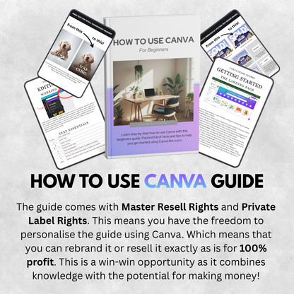 How to Use Canva for Beginners | Create Designs Like a Pro