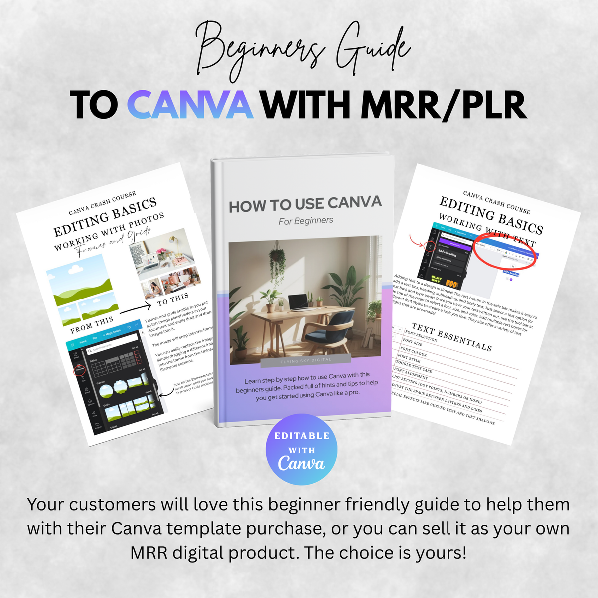 How to Use Canva for Beginners | Create Designs Like a Pro